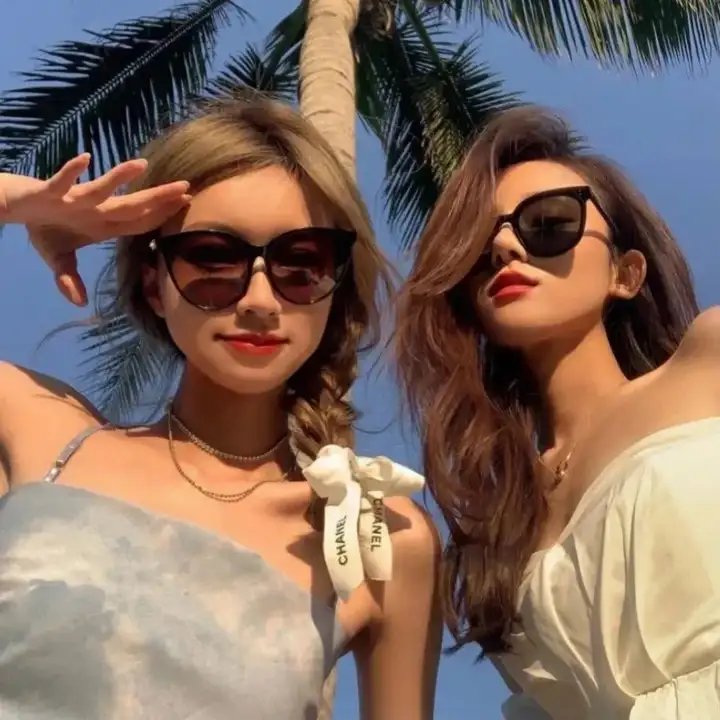 拜访森林